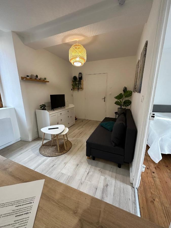 Joli Appartement Proche Centre Ville, Thermes, Aquensis Баньєр-де-Бігорр Екстер'єр фото