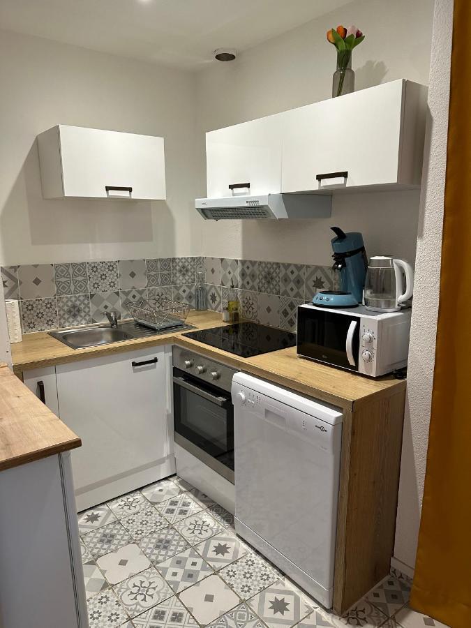 Joli Appartement Proche Centre Ville, Thermes, Aquensis Баньєр-де-Бігорр Екстер'єр фото